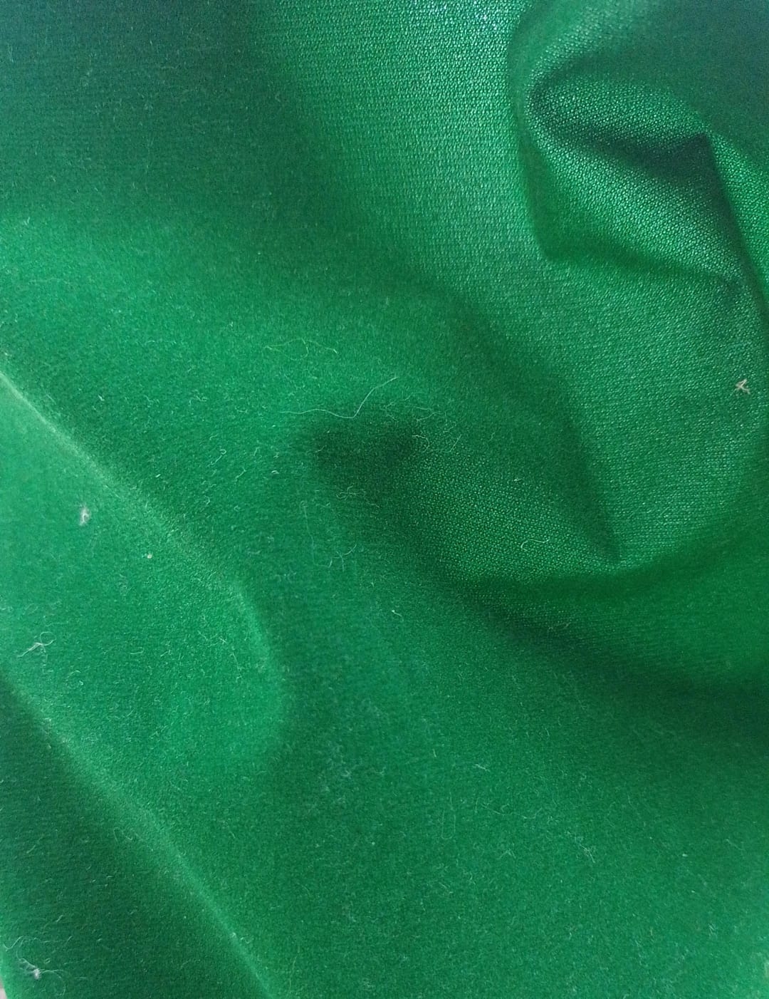 Gamuza Gamuza - Imagen 1