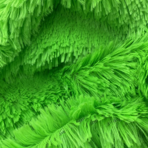 Venus