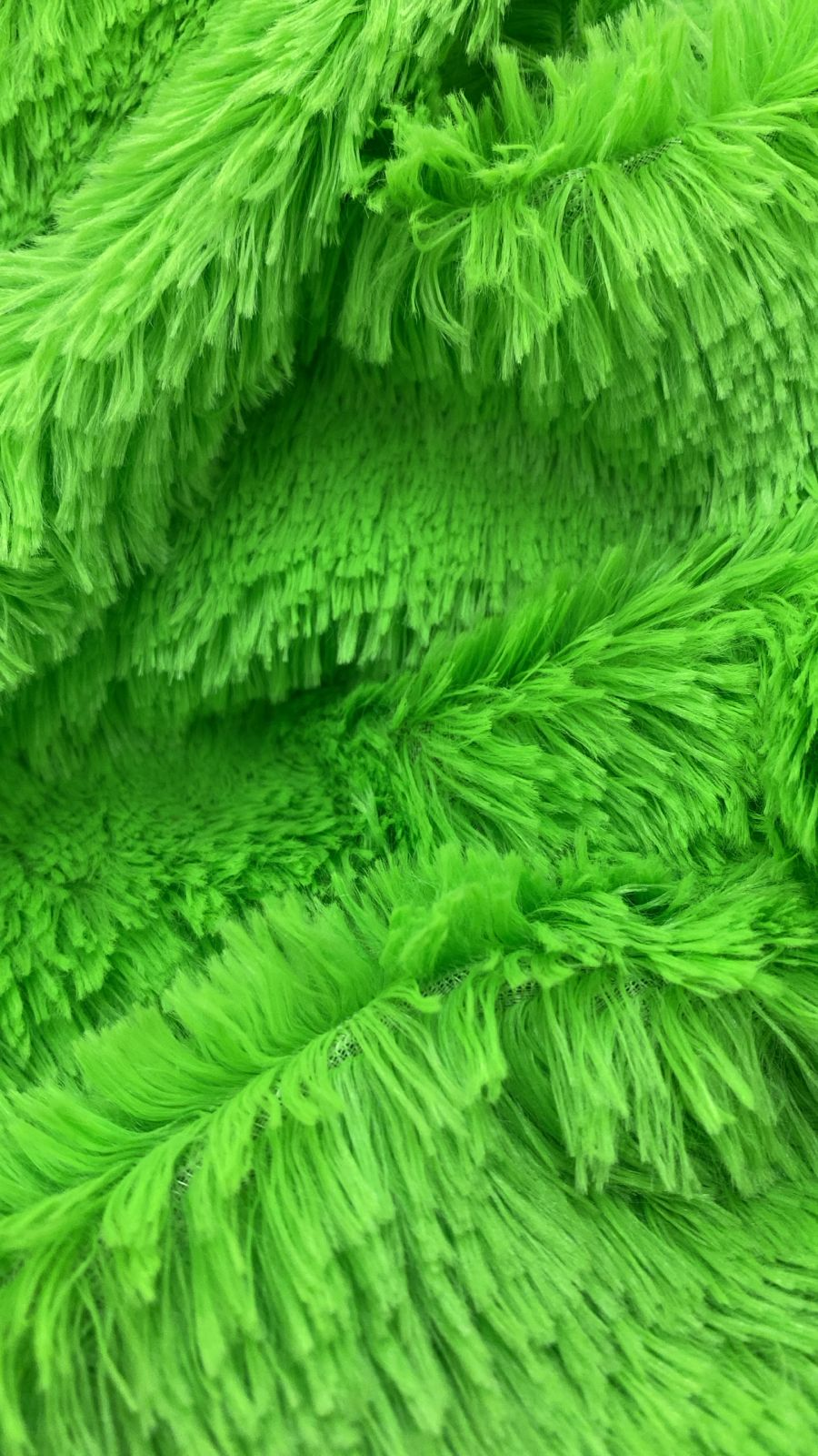 Venus Venus - Imagen 1